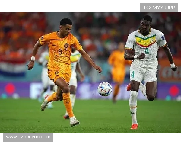 杭州网球队在世界杯积分榜上以85分稳居第一位置展现强劲实力